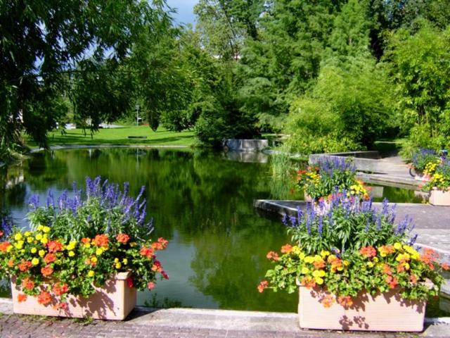 Апартаменты Lotus Бад-Беллинген Экстерьер фото